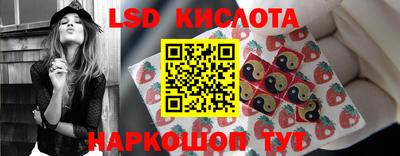 гашик Ставрополь
