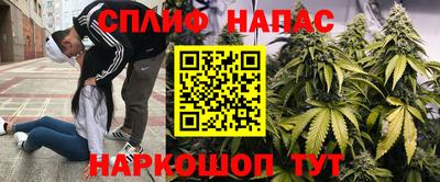 гашик Ставрополь