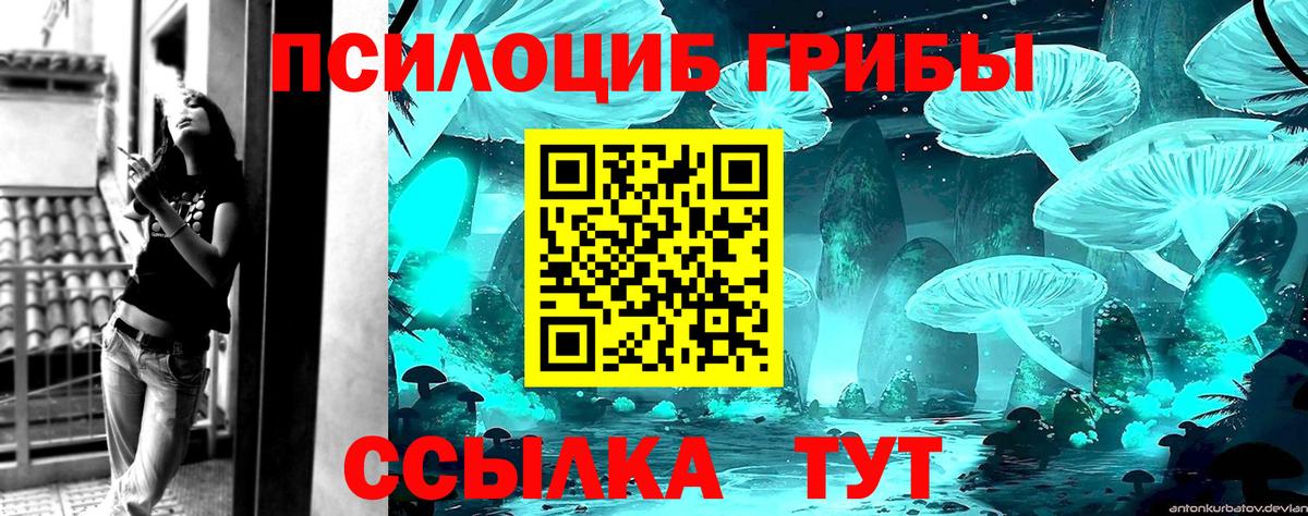 Псилоцибиновые грибы мицелий  купить наркоту  Галлюциногенные грибы ЛСД  Нягань  Вход с VPN 